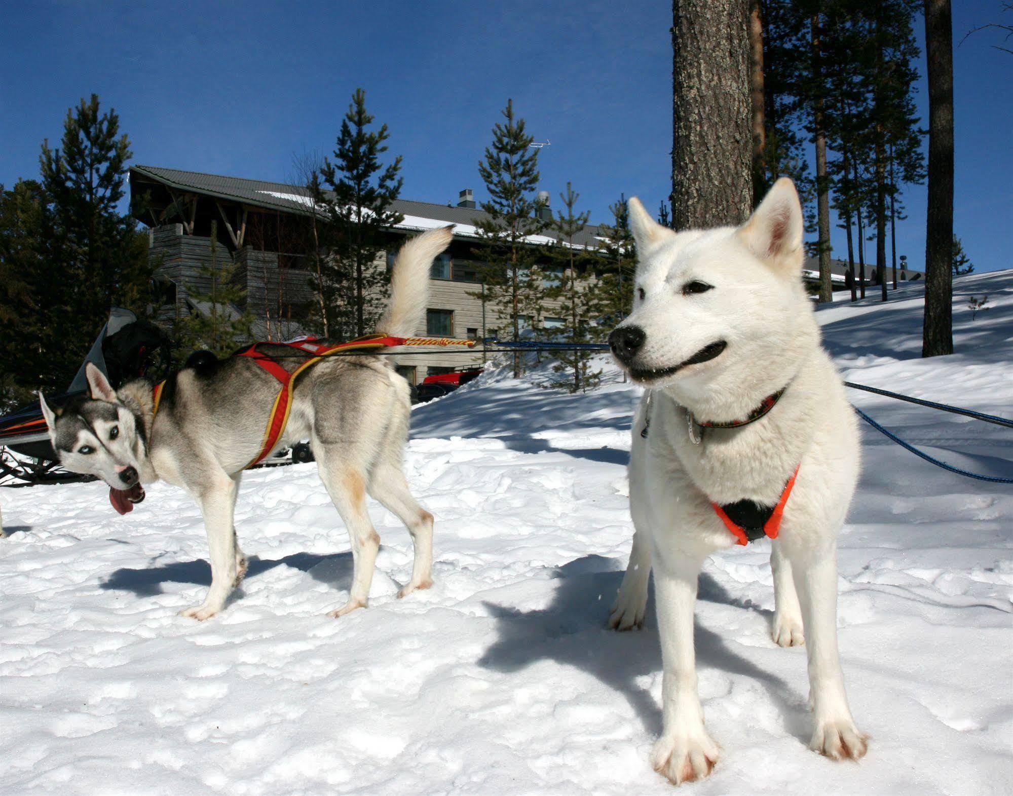 Hotel Kalevala Kuhmo Esterno foto
